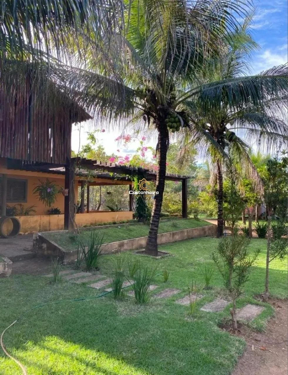 Chácara 27.600 m² - TO-010 Km 14, Sentido Lajeado - Foto 3