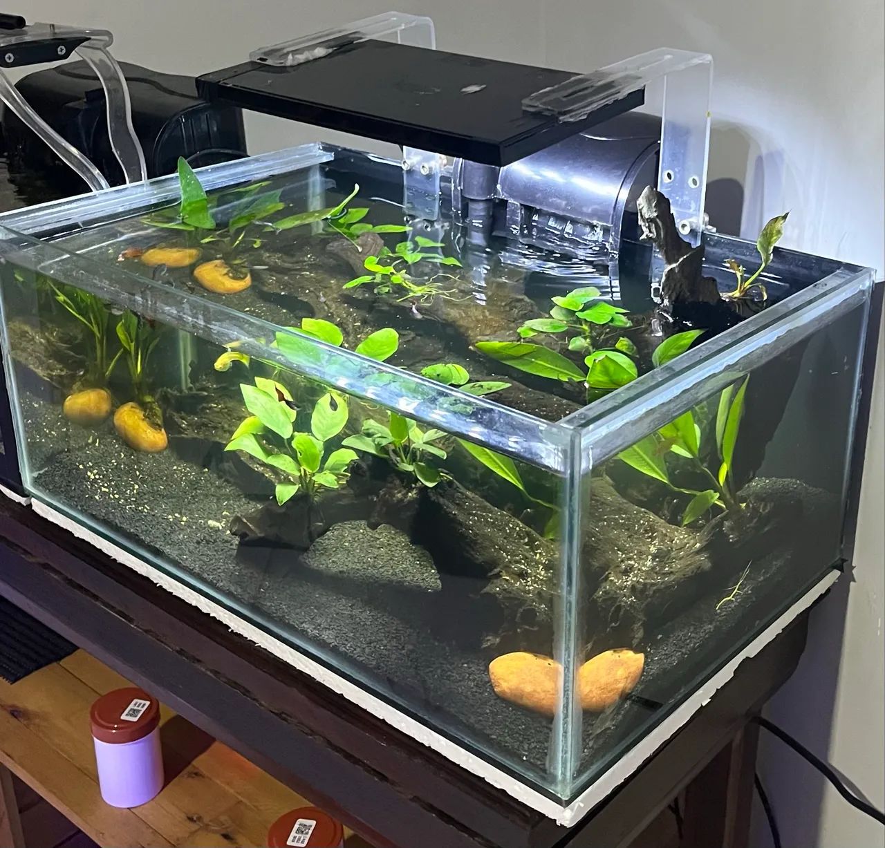Aquario  - Foto 4