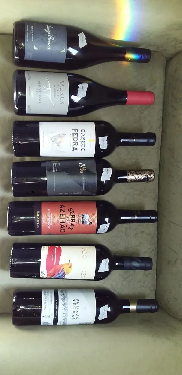 Vinhos e Espumantes  - Foto 3