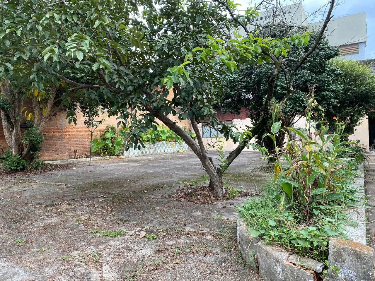 Terrenos e Áreas a venda - Serraria - Foto 4