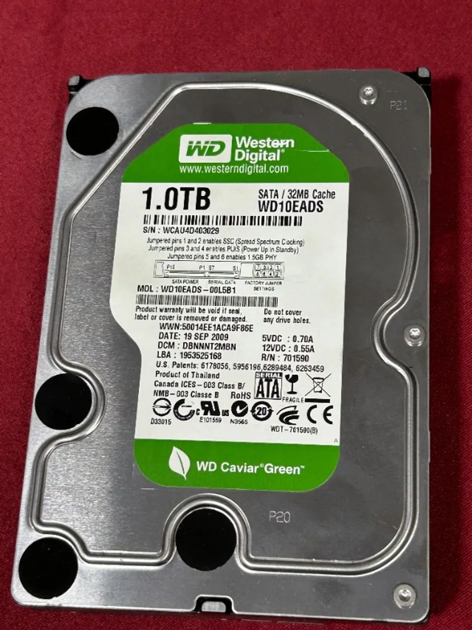 HD 1 TB Wester Digital Caviar Green