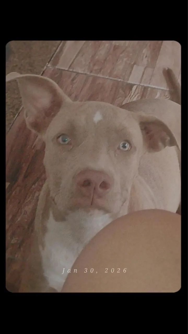 TROCO OU VENDO  - Foto 2