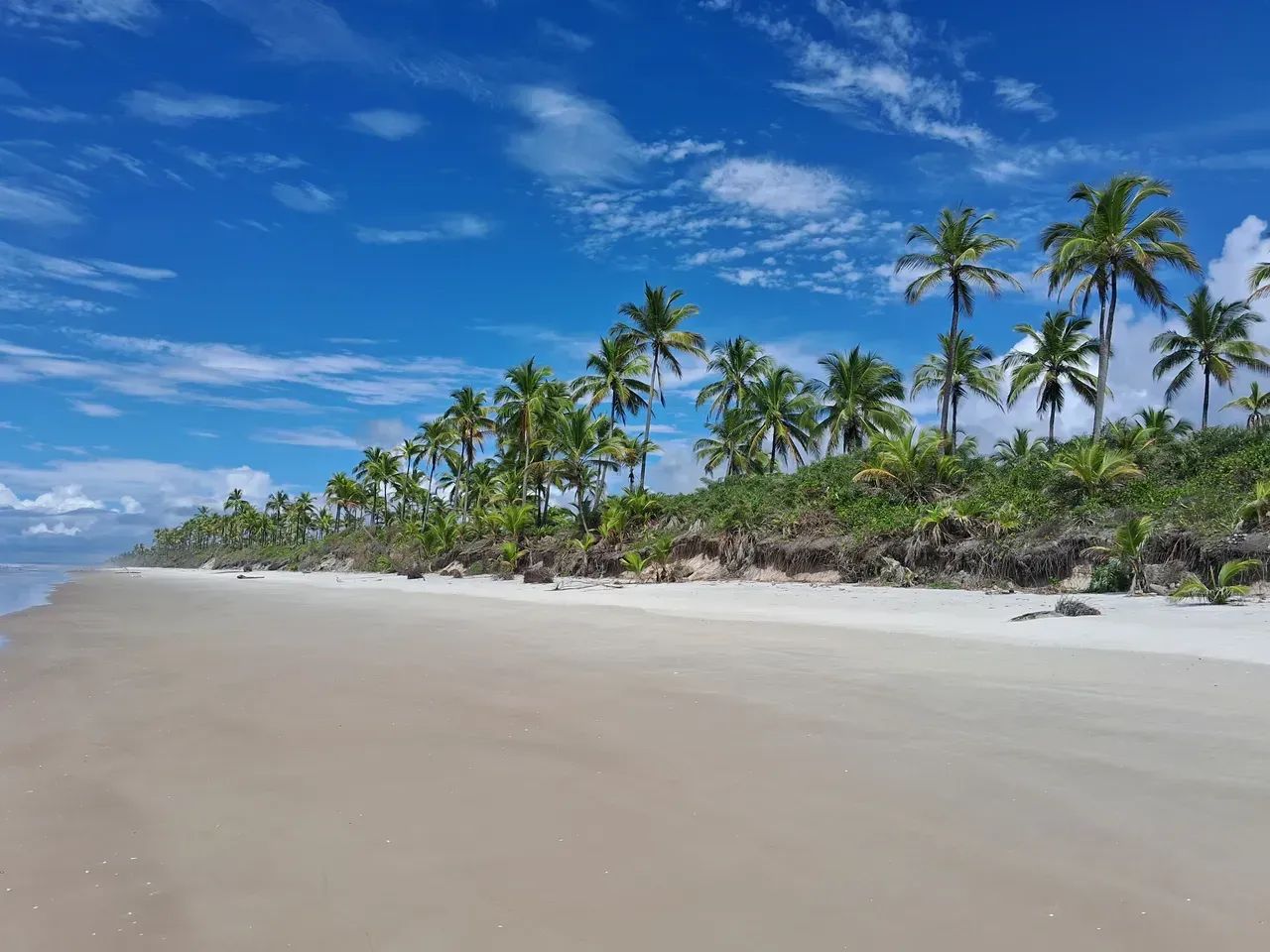 Área no litoral sul da Bahia - Foto 2