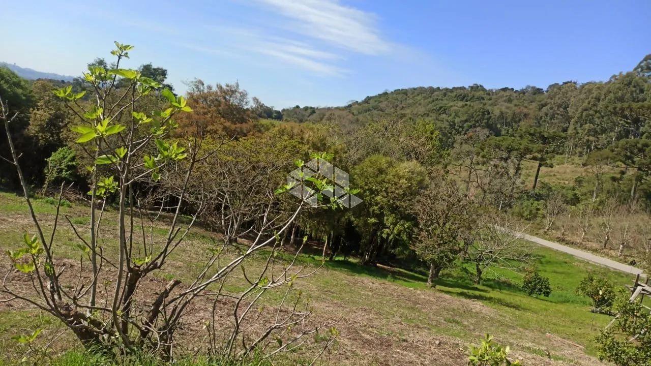 Terreno no vale dos vinhedos com 3.970m² - Foto 3