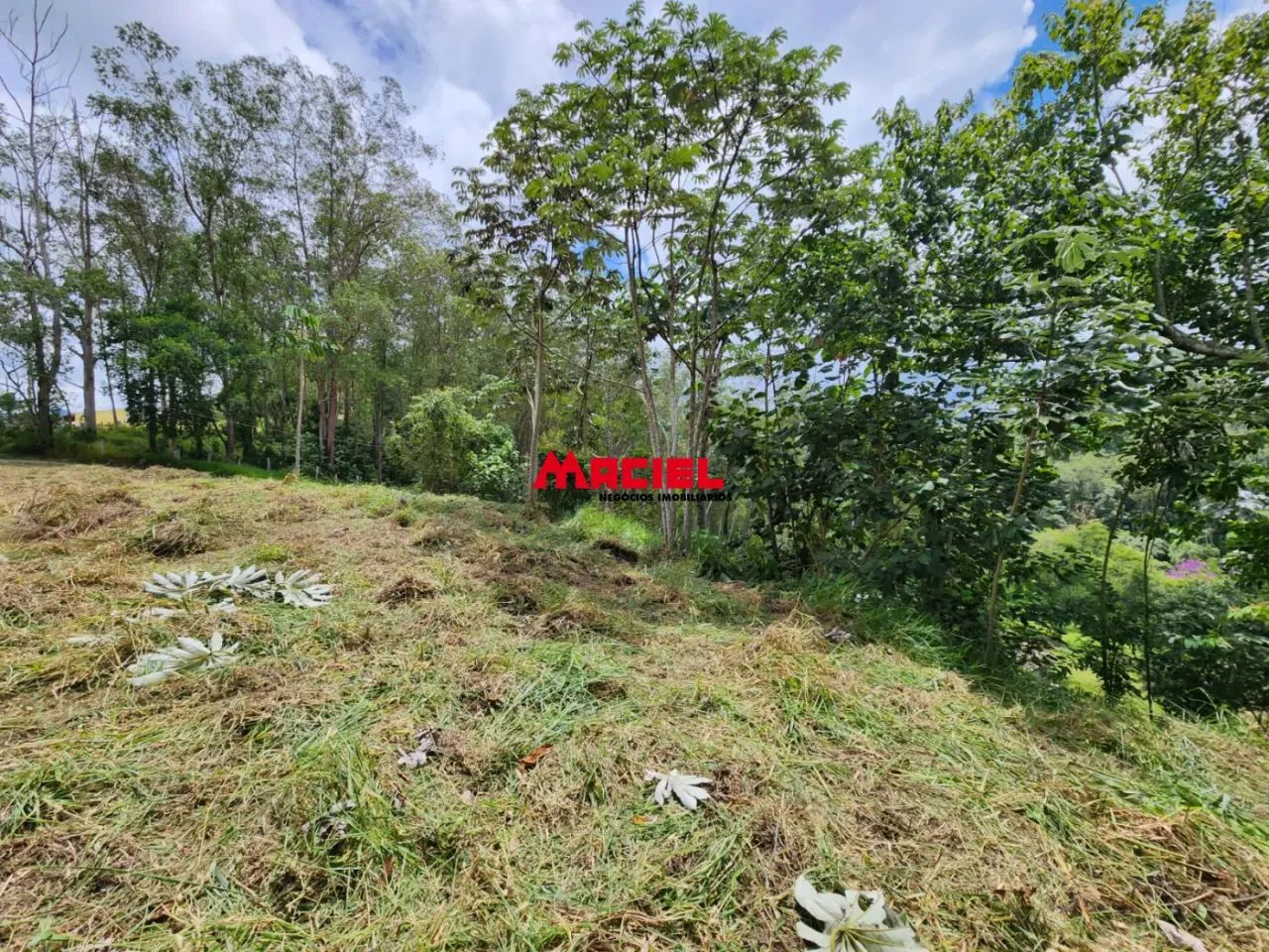 Terreno Área em Monteiro Lobato - Foto 4