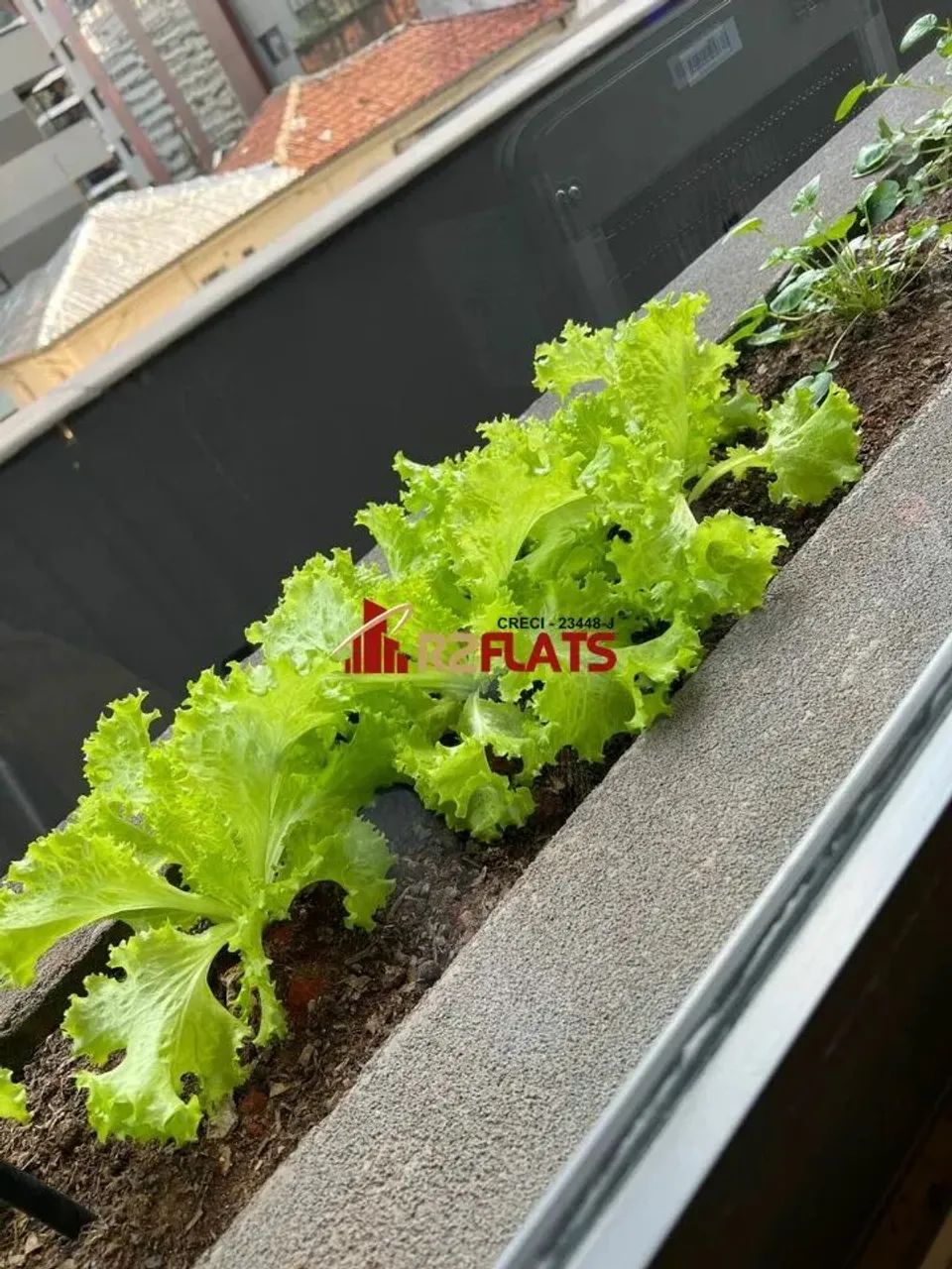 Flat com ótimo preço no bairro Pinheiros. Confira! - Foto 10