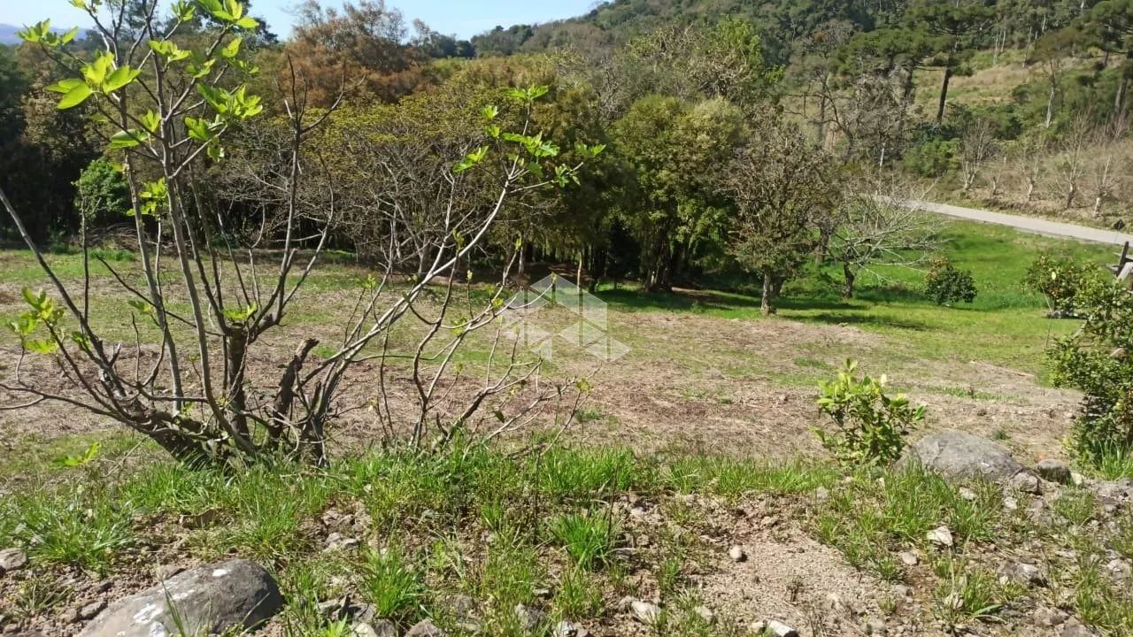 Terreno no vale dos vinhedos com 3.970m²