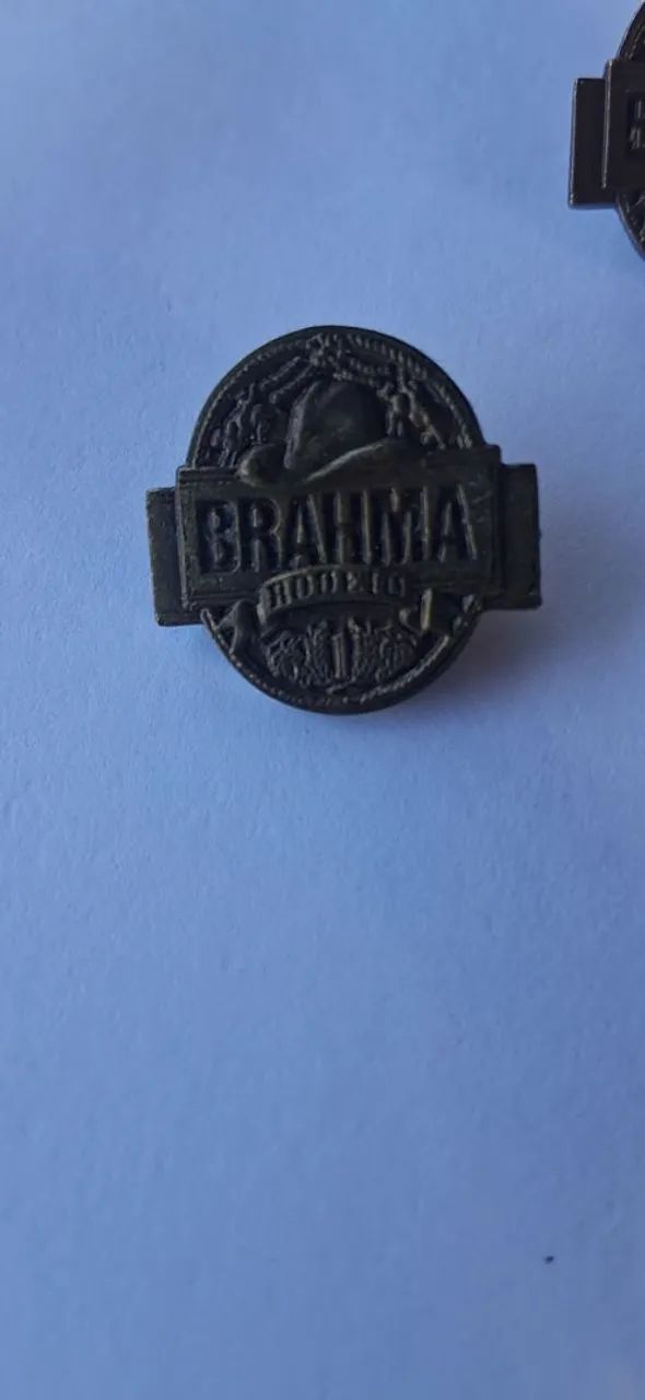 Pins de Rodeio (Brahma) - Foto 4