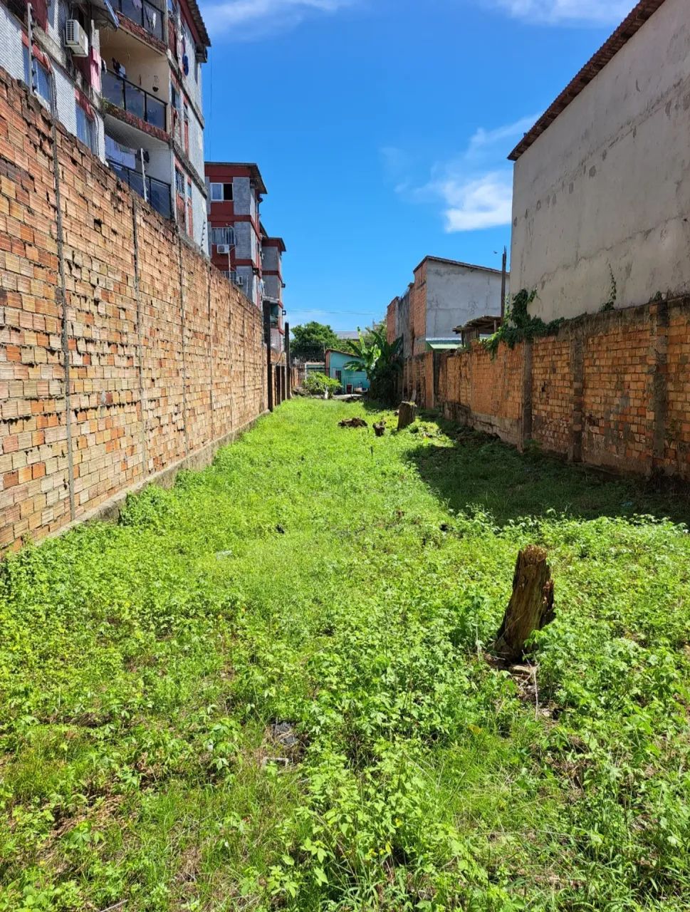 Terreno com casa na Marquês de Herval para investidores - Foto 3