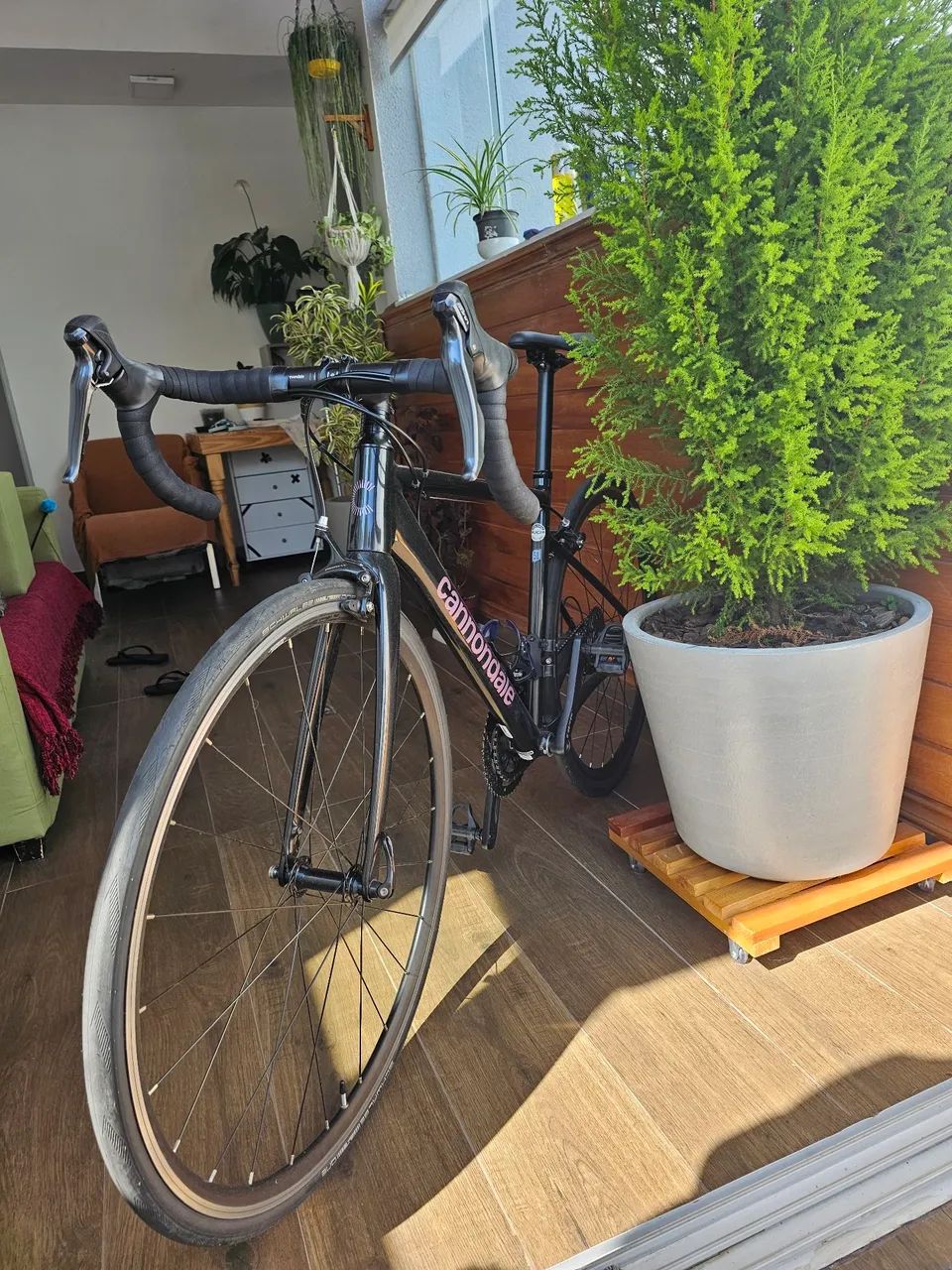 Bicicleta Speed Cannondale CAAD Optimo 3 - Tam. 51 (Com Upgrades de Roda!)