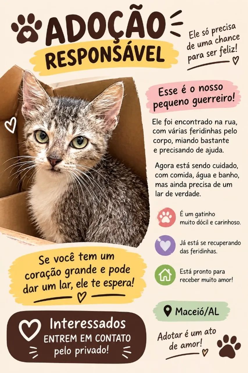 Gatinha linda pr adoção 