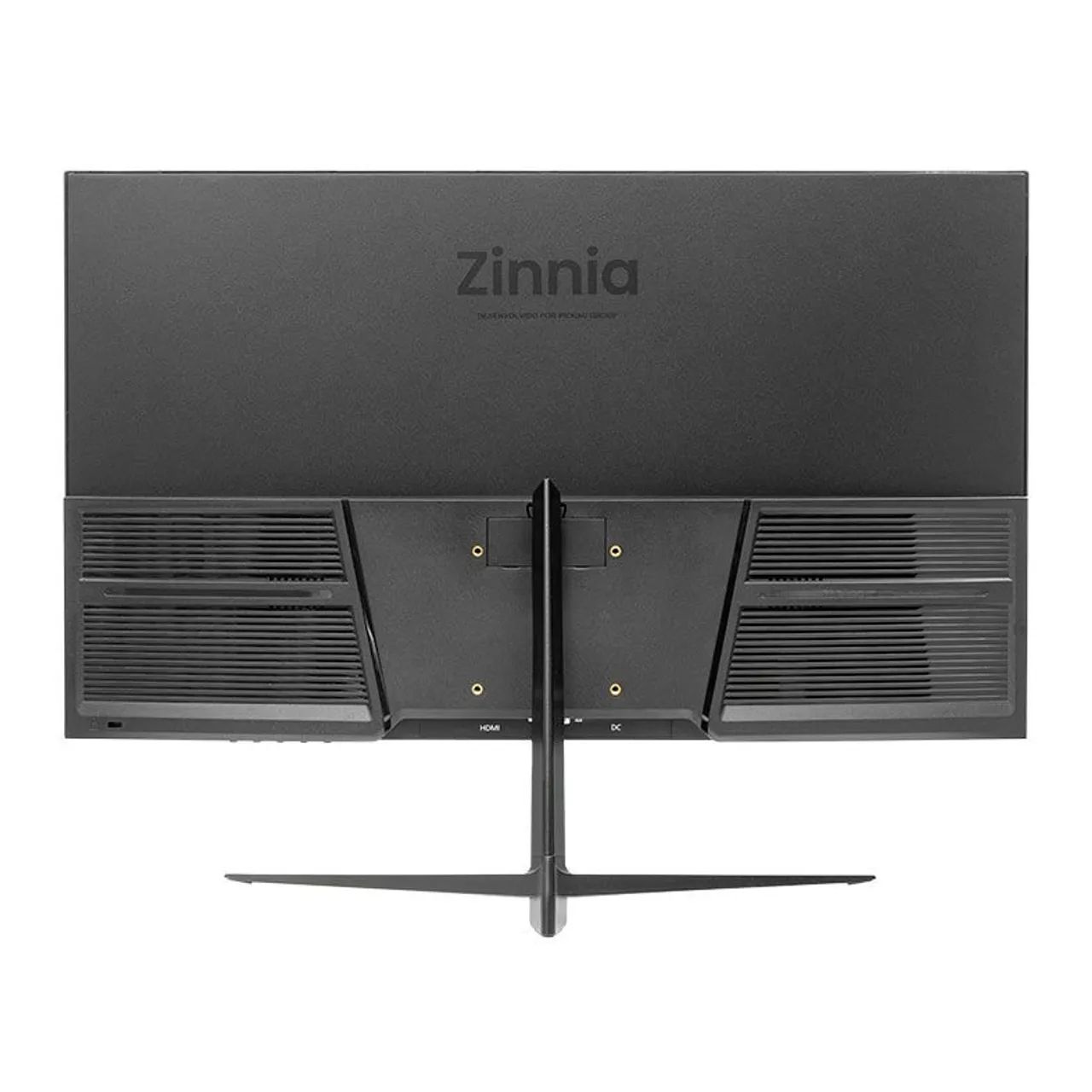 MONITOR ZINNIA DELFOS - Foto 2