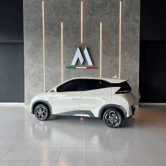 BYD Dolphin Mini (Elétrico) 2027 - Foto 4