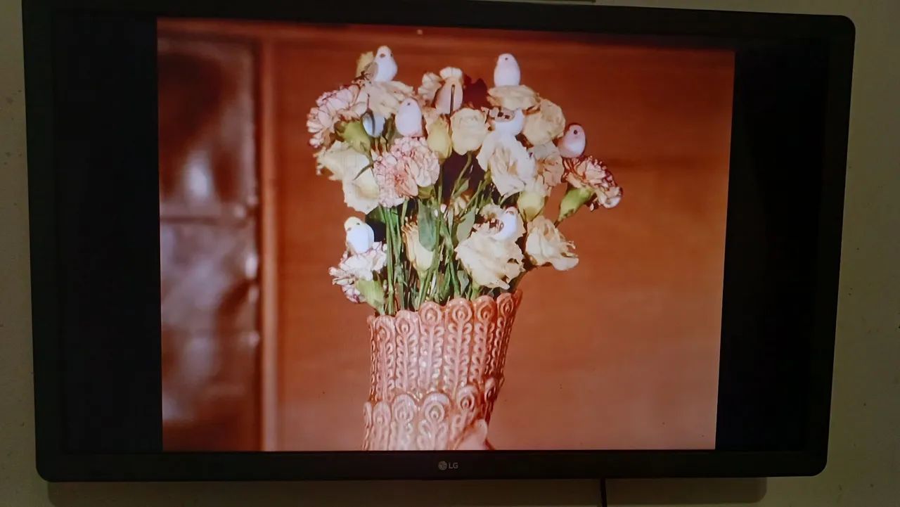 Vendo Tv