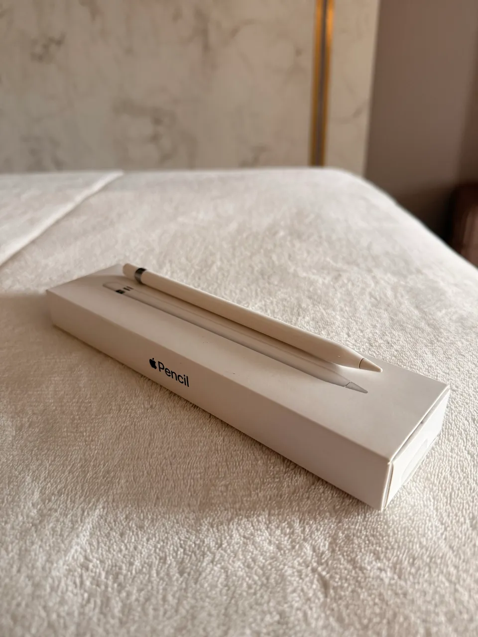 Apple Pencil Pro - NOVO/LACRADO - PRONTA ENTREGA - Periféricos e