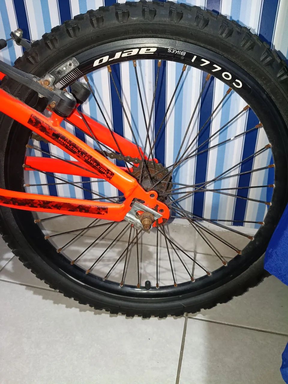 Bicicleta da Collie  - Foto 4