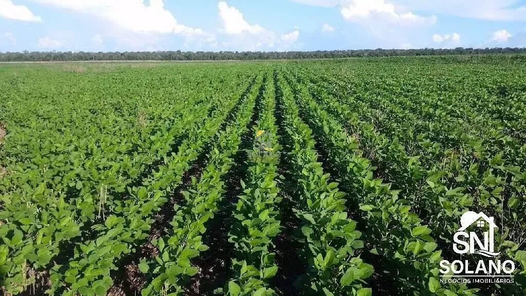 FAZENDA DUPLA APTIDÃO EM PRIMAVERA DO LESTE MT - Foto 2