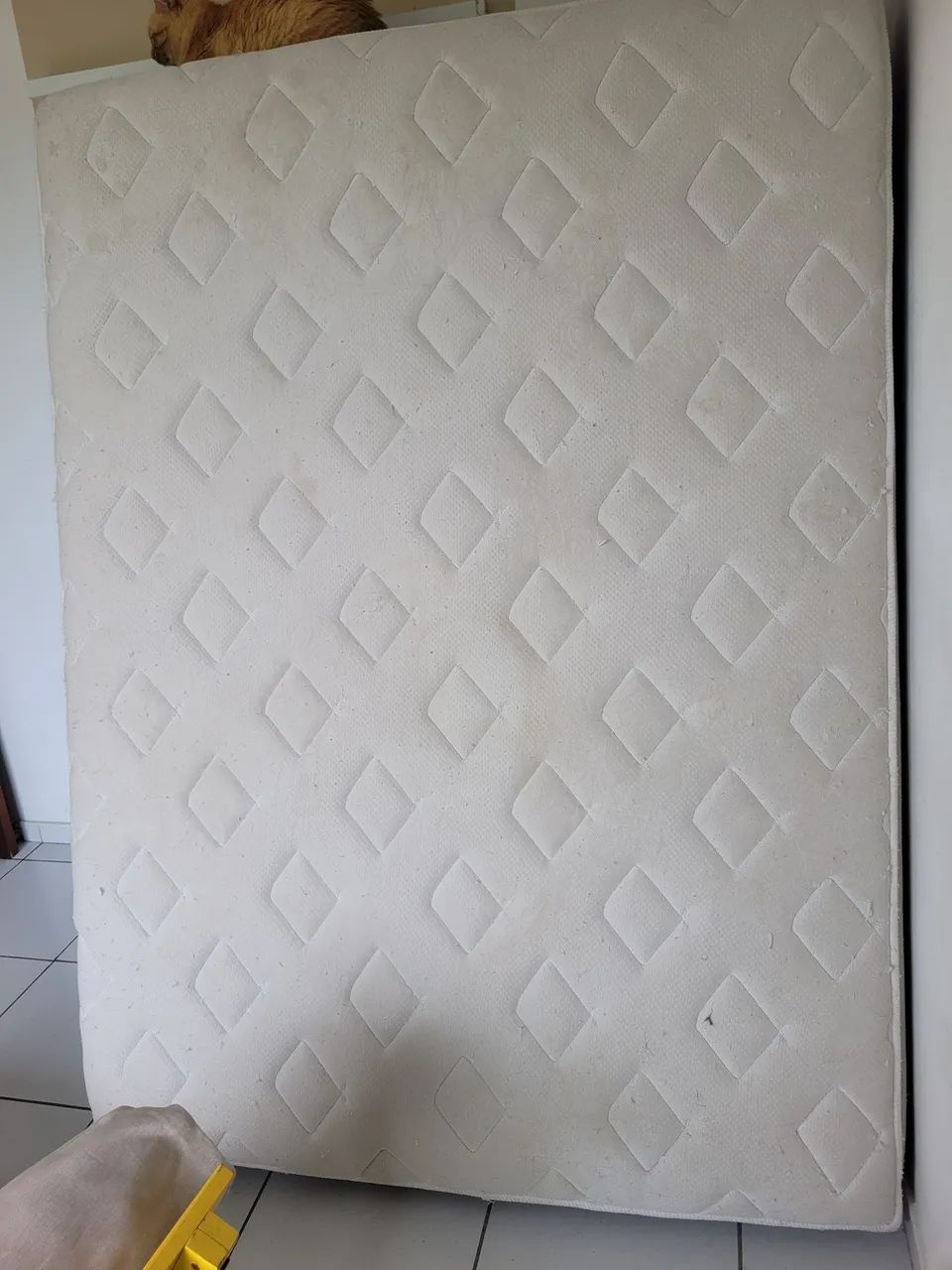Colch ão 400,00 e outro300,00 - Foto 2