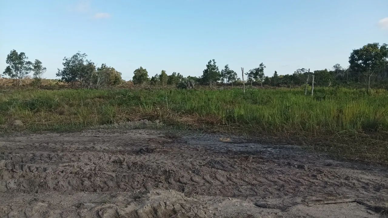 Chácara  - Foto 4