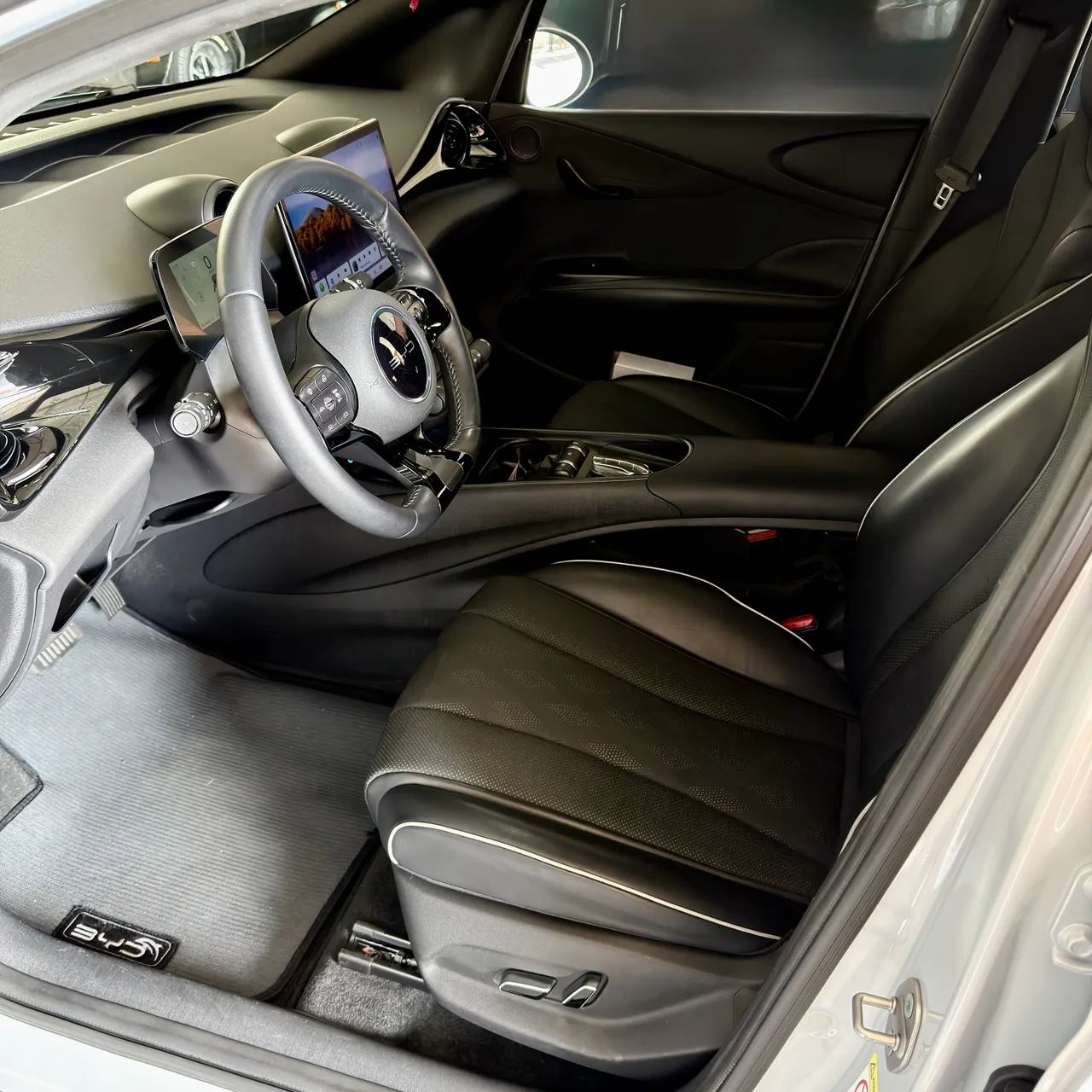 BYD Dolphin Plus (Elétrico) 2024 - Foto 4