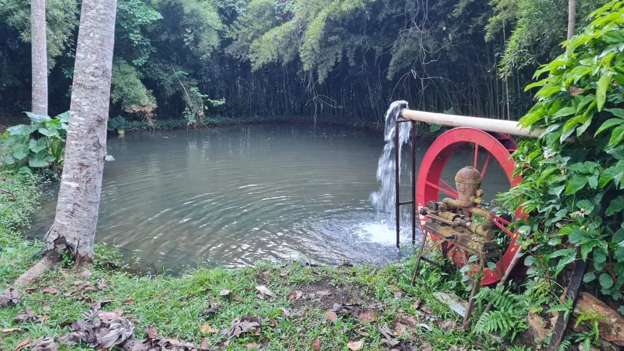 Imóvel para venda tem 400 metros quadrados com 6 quartos - Foto 4