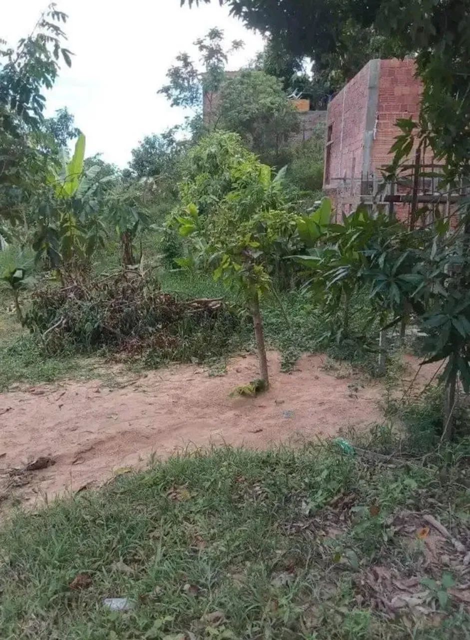 Terreno 