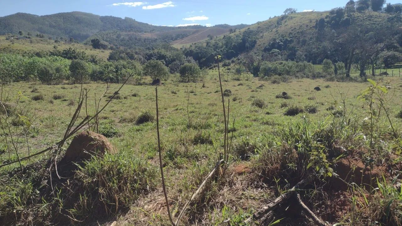 Terreno 5 mil metros  - Foto 2