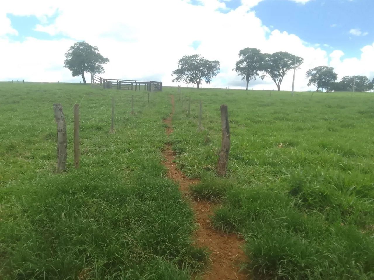 Chácara - Foto 3