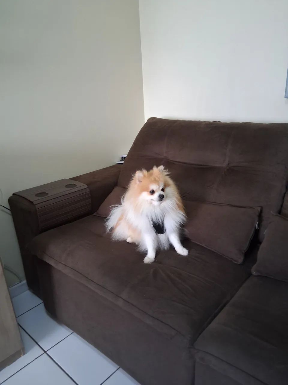 SOFÁ RETRATIL  - Foto 3