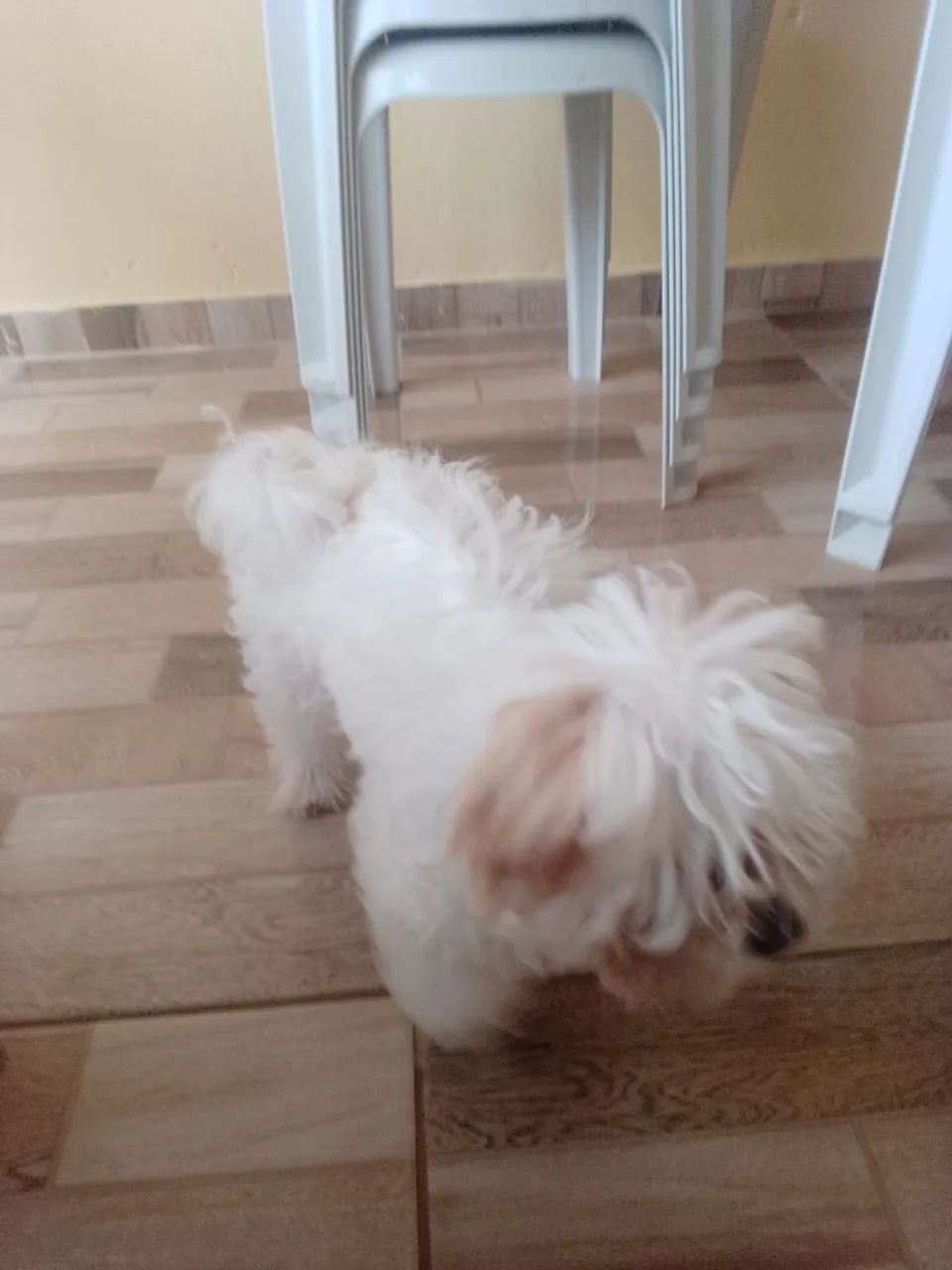Daniel  - Foto 3