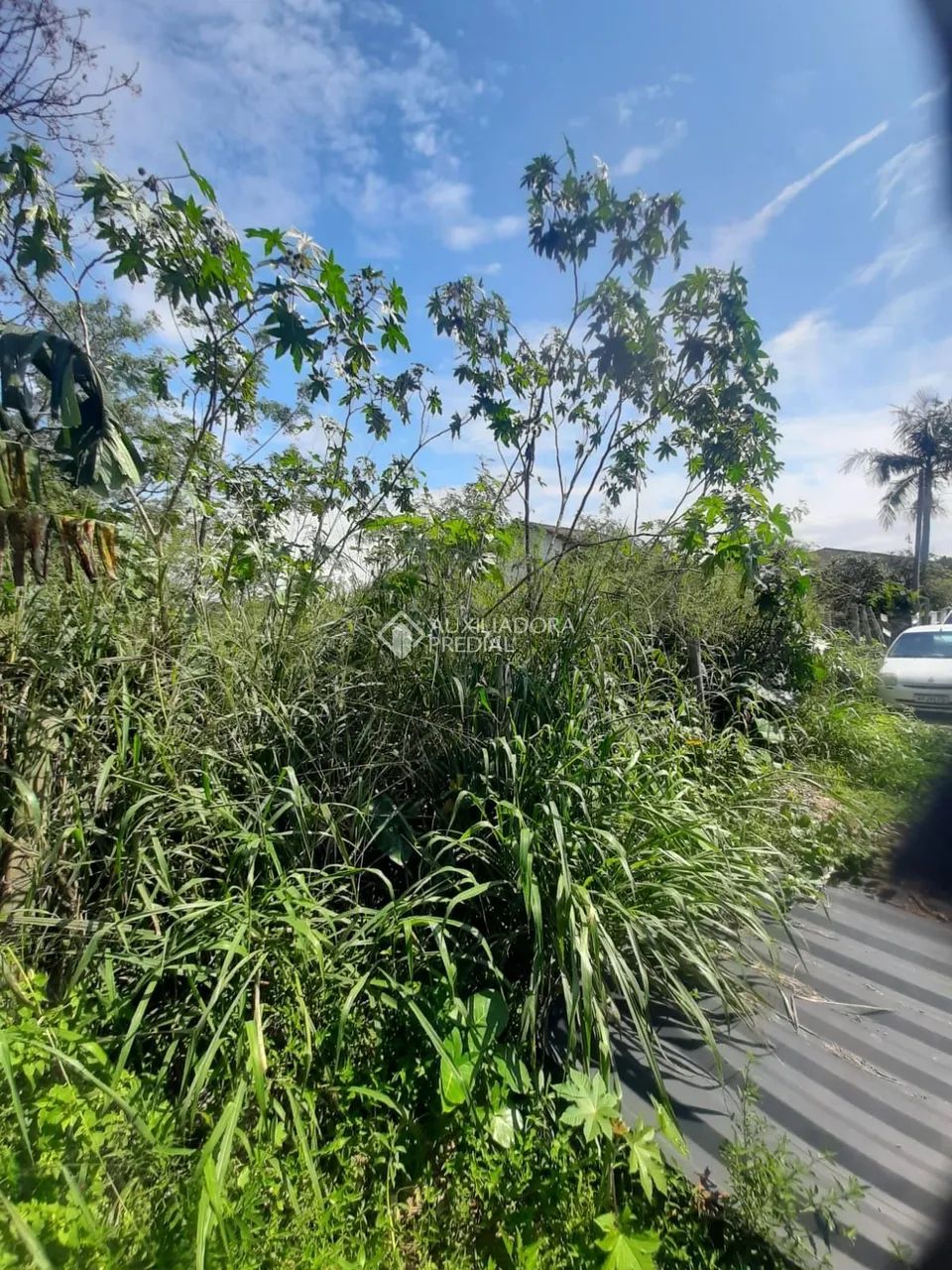 Terreno com 1060m² à venda em Campeche, Florianópolis. - Foto 5