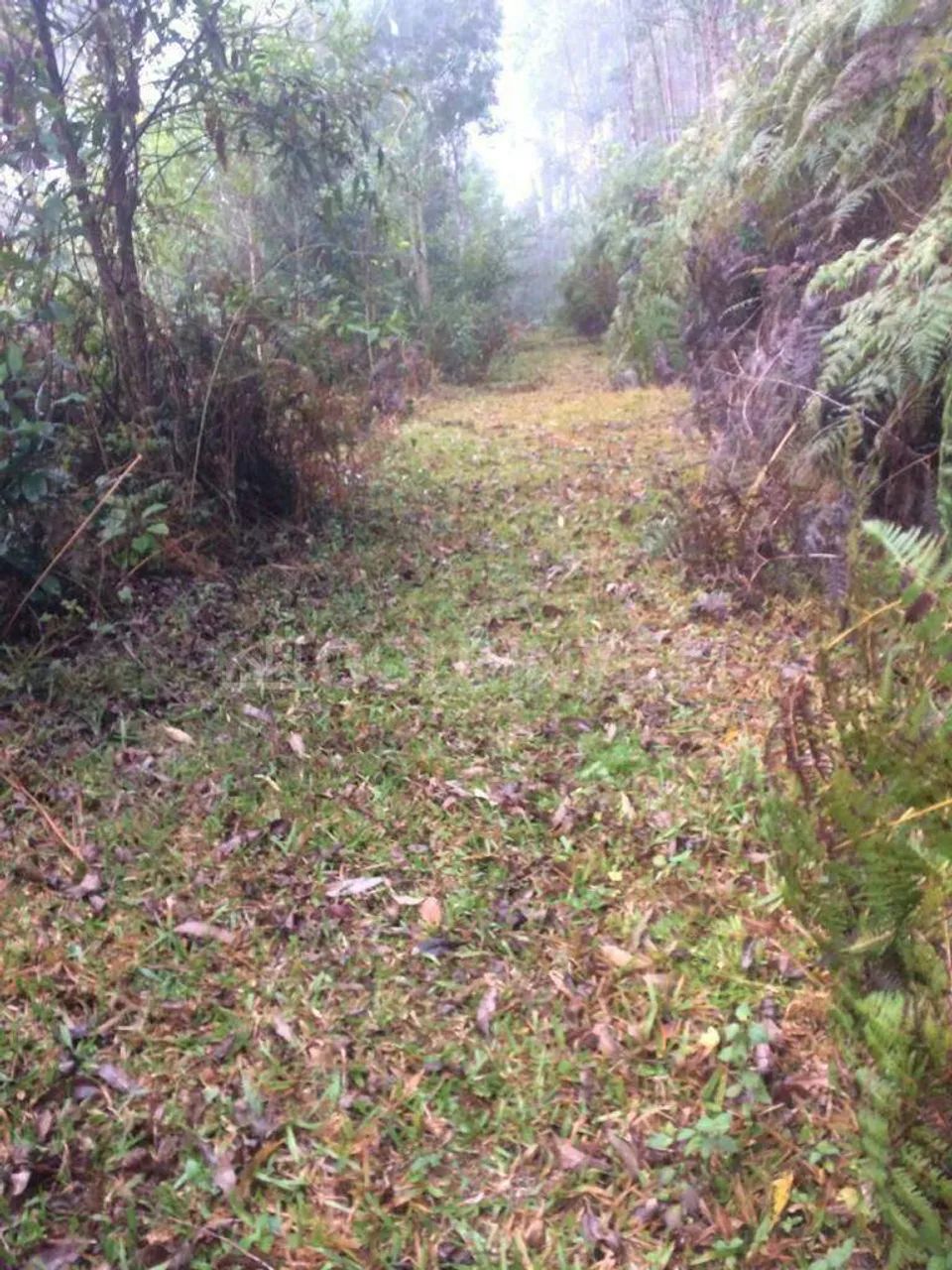 Chácara / Sítio à venda, Não Informado - Botuverá/SC