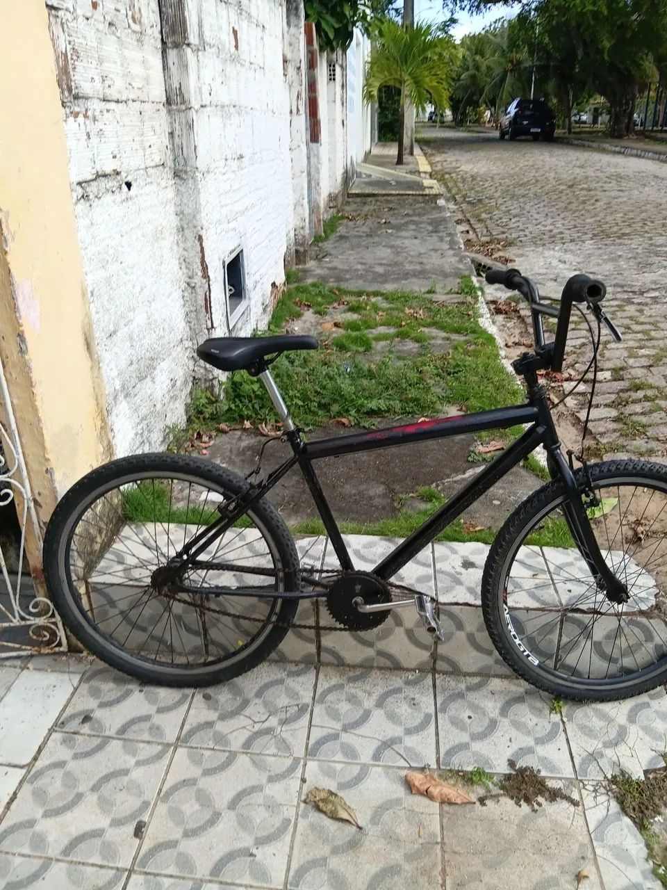 Bicicleta 