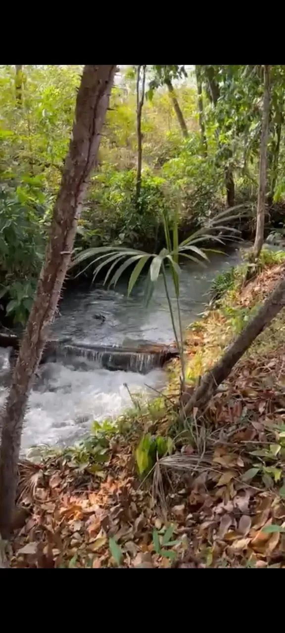 Chácara Vale da Serra - Foto 2