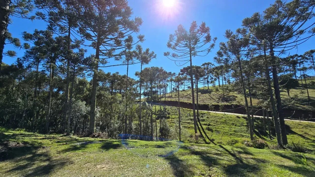 Terreno com casa ao lado da cidade - Foto 3
