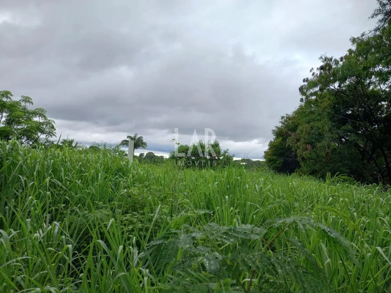 Lote - Terreno à venda, Garças - Belo Horizonte/MG - Foto 3