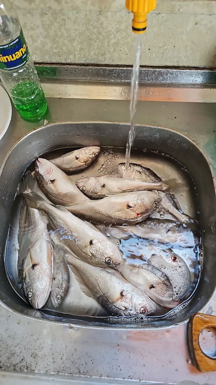 Guia de pesca em Igarata/Santa Isabel