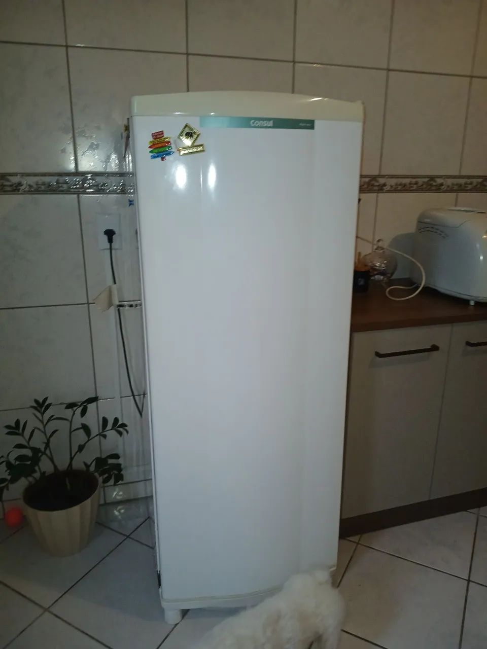 Geladeira Usada em bom estado