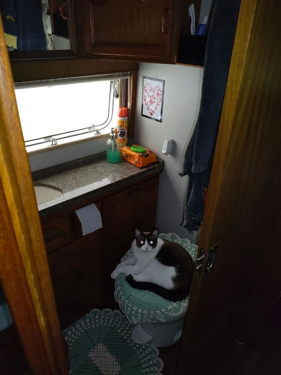 Motorhome Riviera Turiscar 1991 - Foto 5