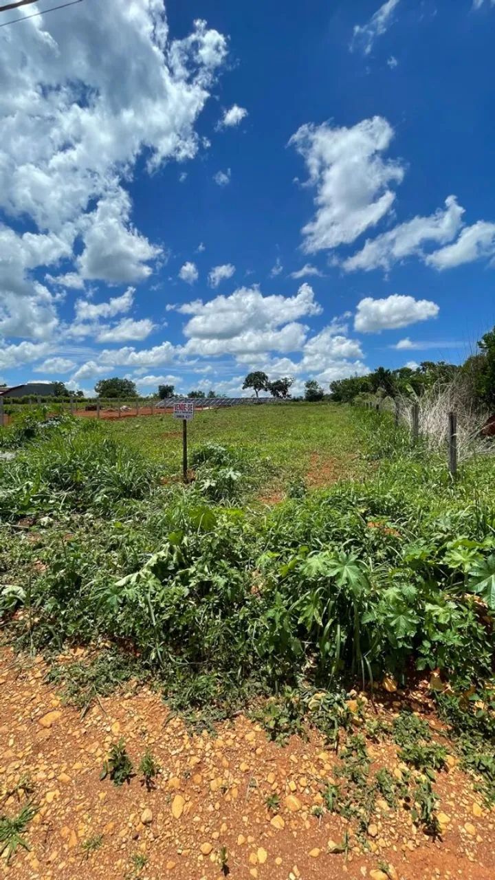 Foto - Trindade - Jardim Floresta