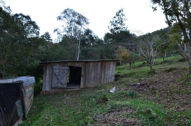 Sítio rural à venda, vale dos pinheiros, gramado. - Foto 3