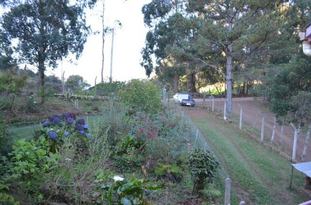 Sítio rural à venda, vale dos pinheiros, gramado. - Foto 16