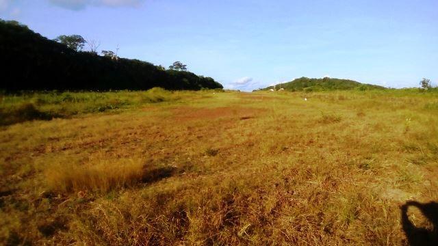 Fazenda 7900 ha Alta Floresta MT - Foto 7