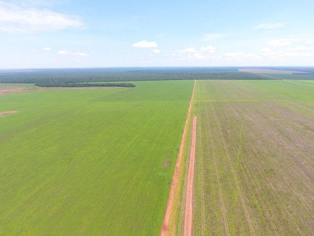 Fazenda 15000 ha 150 Km Sorriso MT - Foto 3