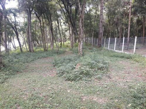 São José dos Pinhais - Chácara c/ 2328m² em condomínio fechado próx. BR 277 - Foto 8