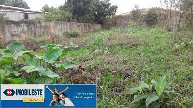 Terreno para alugar em Centro, Pinhais cod:00362.001 - Foto 3