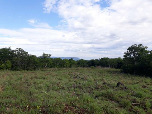 Fazenda em jangada 189 hectares - Foto 4