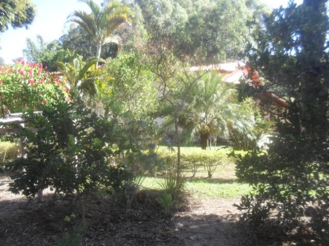 Fazenda com 57 hectares em Carmopolis de Minas - Foto 8