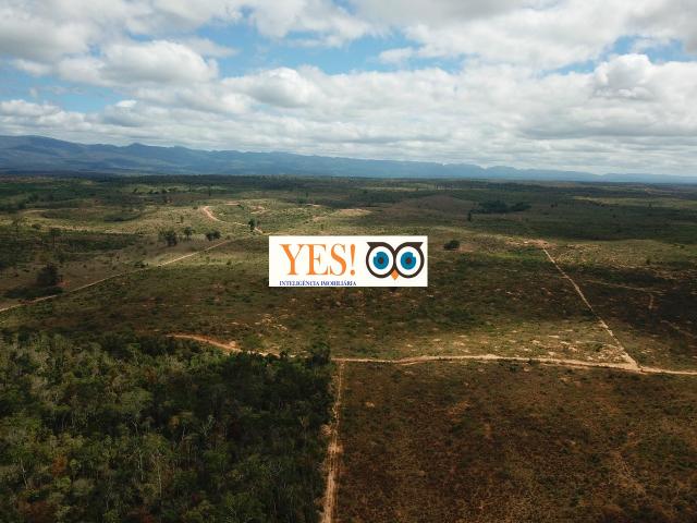 Fazenda para venda, chapada, andaraí, 2.530,00 hectares. - Foto 7
