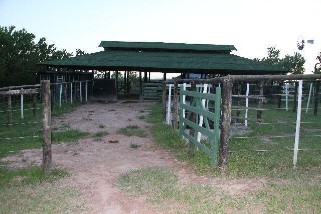 Silva Jardim Propriedade com 9 alqueires preço pra vender! - Foto 10